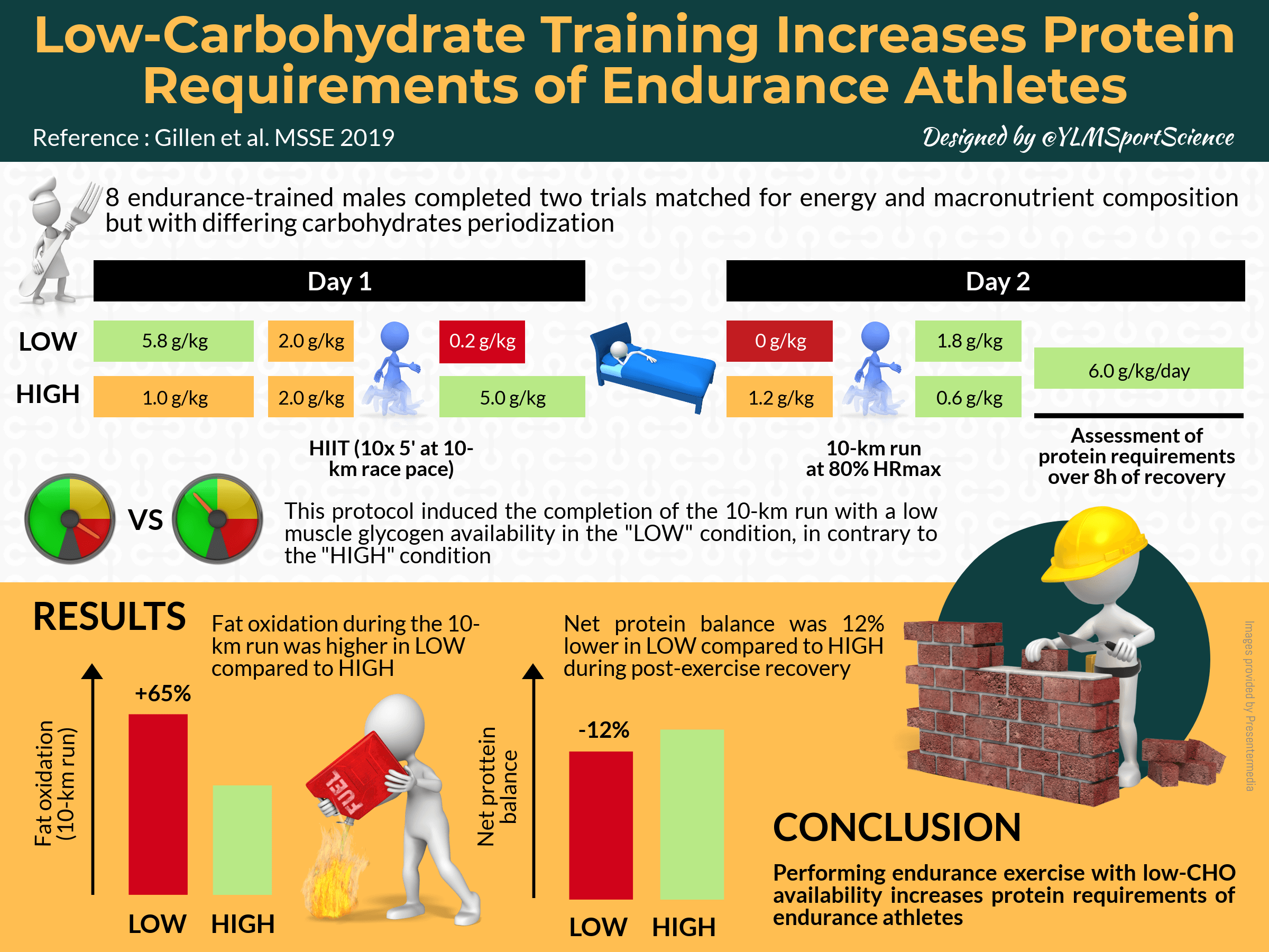 Training Increases Protein Requirements of Endurance Athletes YLMSportScience